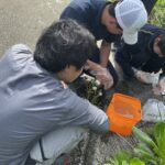 R6　東京大学大気海洋研究所合同企画 サイエンスキャンプに向けた採水作業スタート 写真
