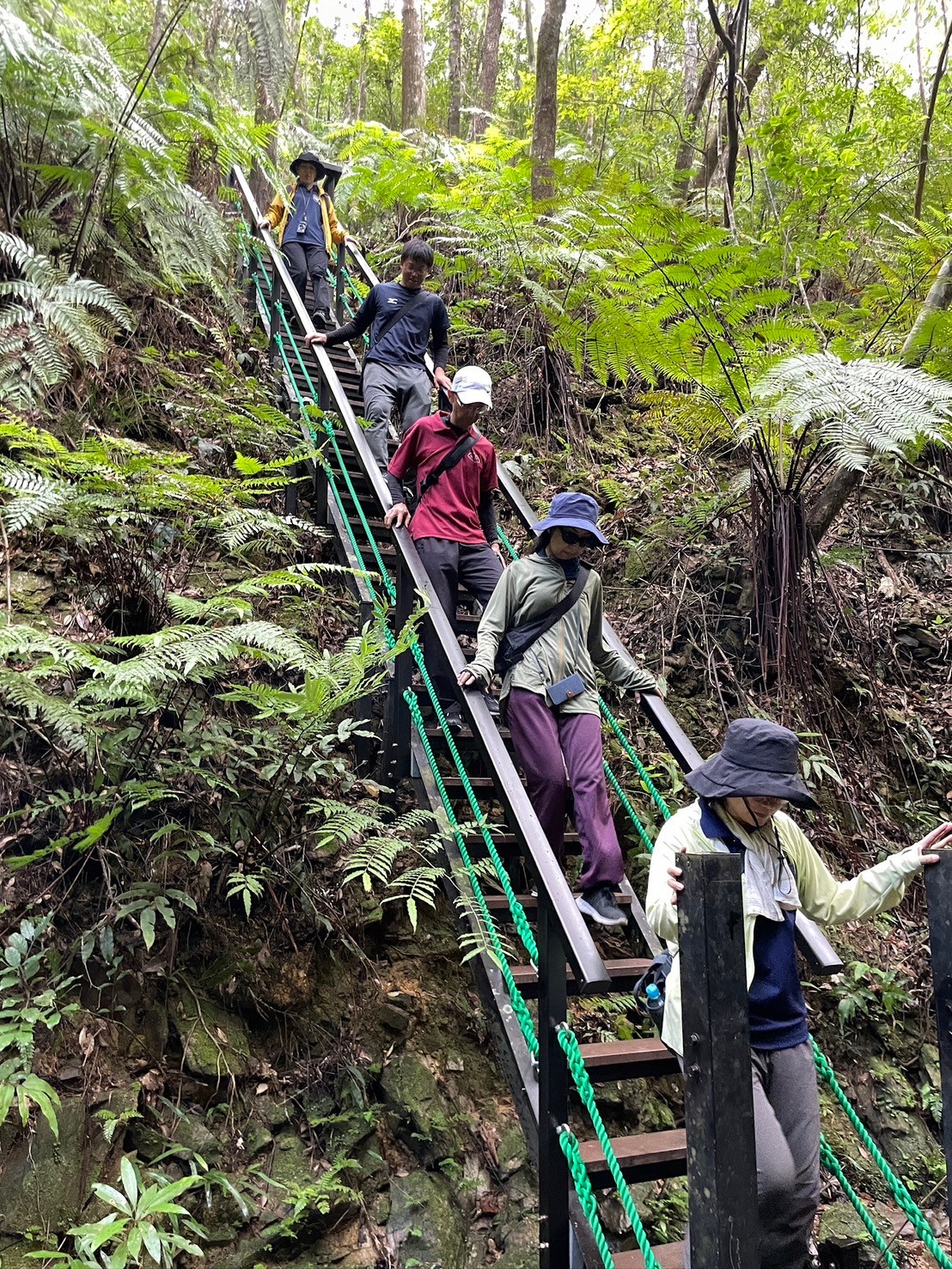 『ゆんぬ学』研修 in やんばる 写真