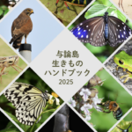 与論島生きものハンドブック2025〜デジタル版〜 写真