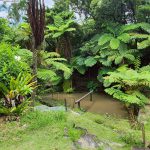 「ゆんぬ学」教職員研修inあまみ 写真