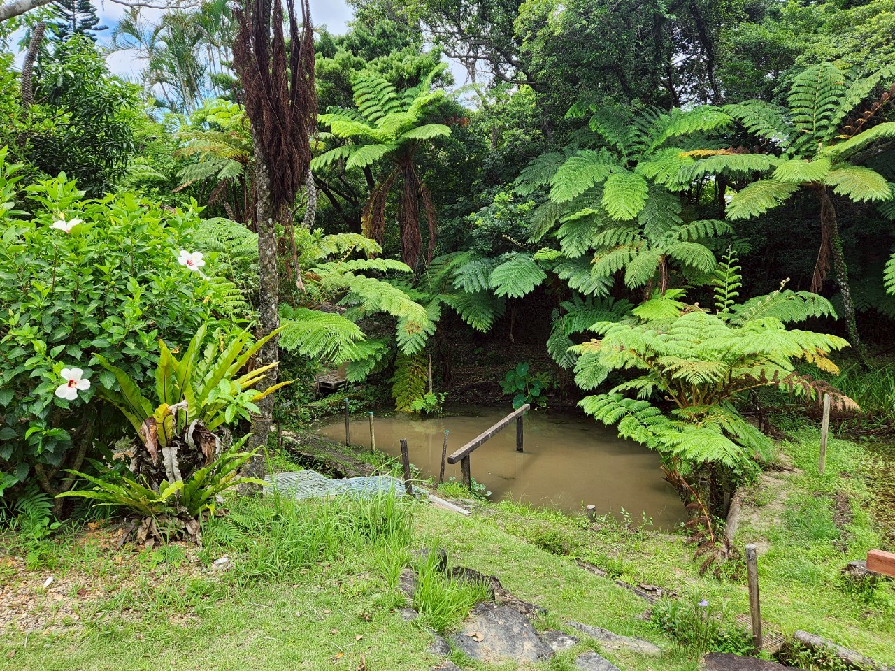 「ゆんぬ学」教職員研修inあまみ 写真