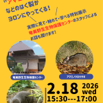 アマミノクロウサギなどのはく製がヨロンにやってくる！ 写真