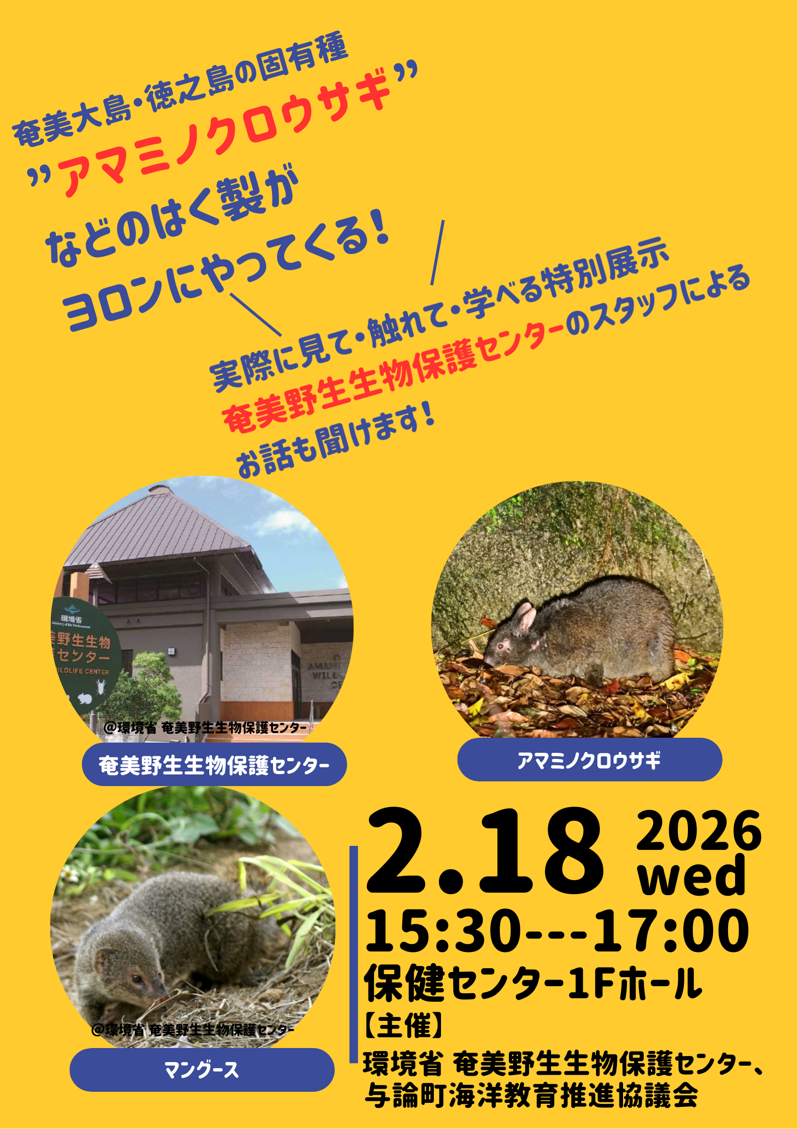 アマミノクロウサギなどのはく製がヨロンにやってくる！ 写真